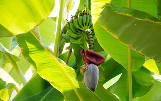 web design for agribusiness industry