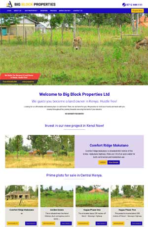 Property, Real Estate Website Design Services