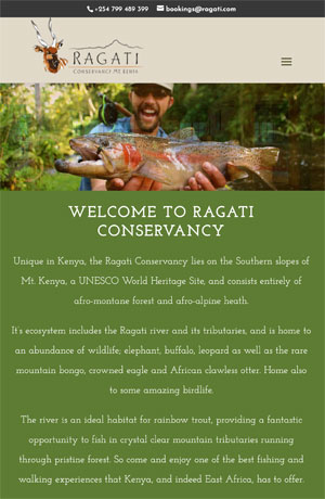 Travel & Hospitality Web Design Services kenya