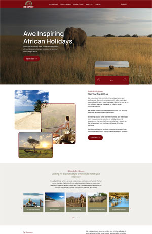 Travel Website Design Company kenya