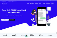 Custom E-Commerce Development Services Kenya